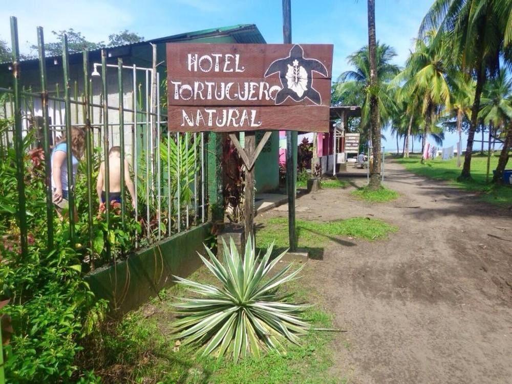 Cabinas Tortuguero Natural Eksteriør billede
