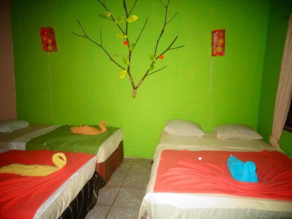 Cabinas Tortuguero Natural Eksteriør billede