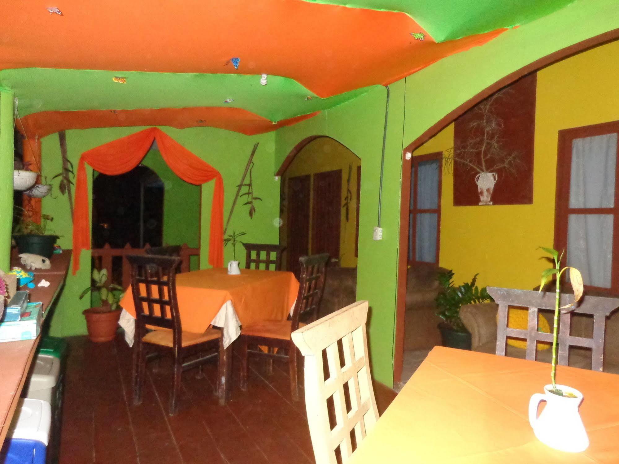 Cabinas Tortuguero Natural Eksteriør billede